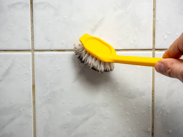 Florin, CA Mold Removal Company