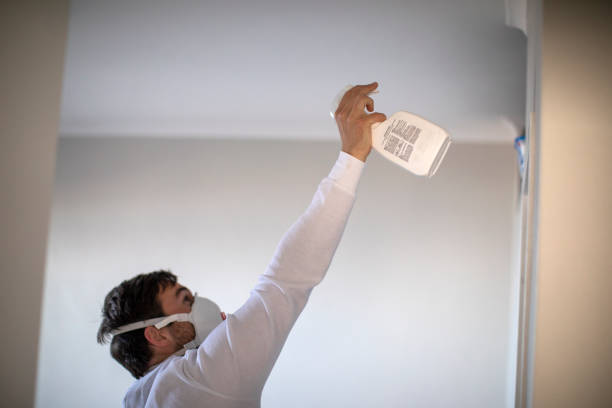 Best Mold Remediation Experts  in Florin, CA