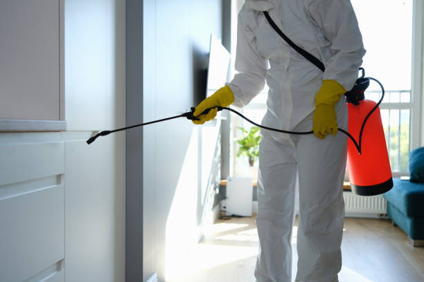 Crawl Space Mold Removal in Florin, CA