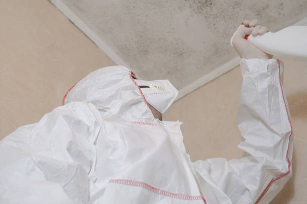 Best Emergency Mold Removal  in Florin, CA